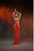 Professional bellydance costume (Classic 411A_1)